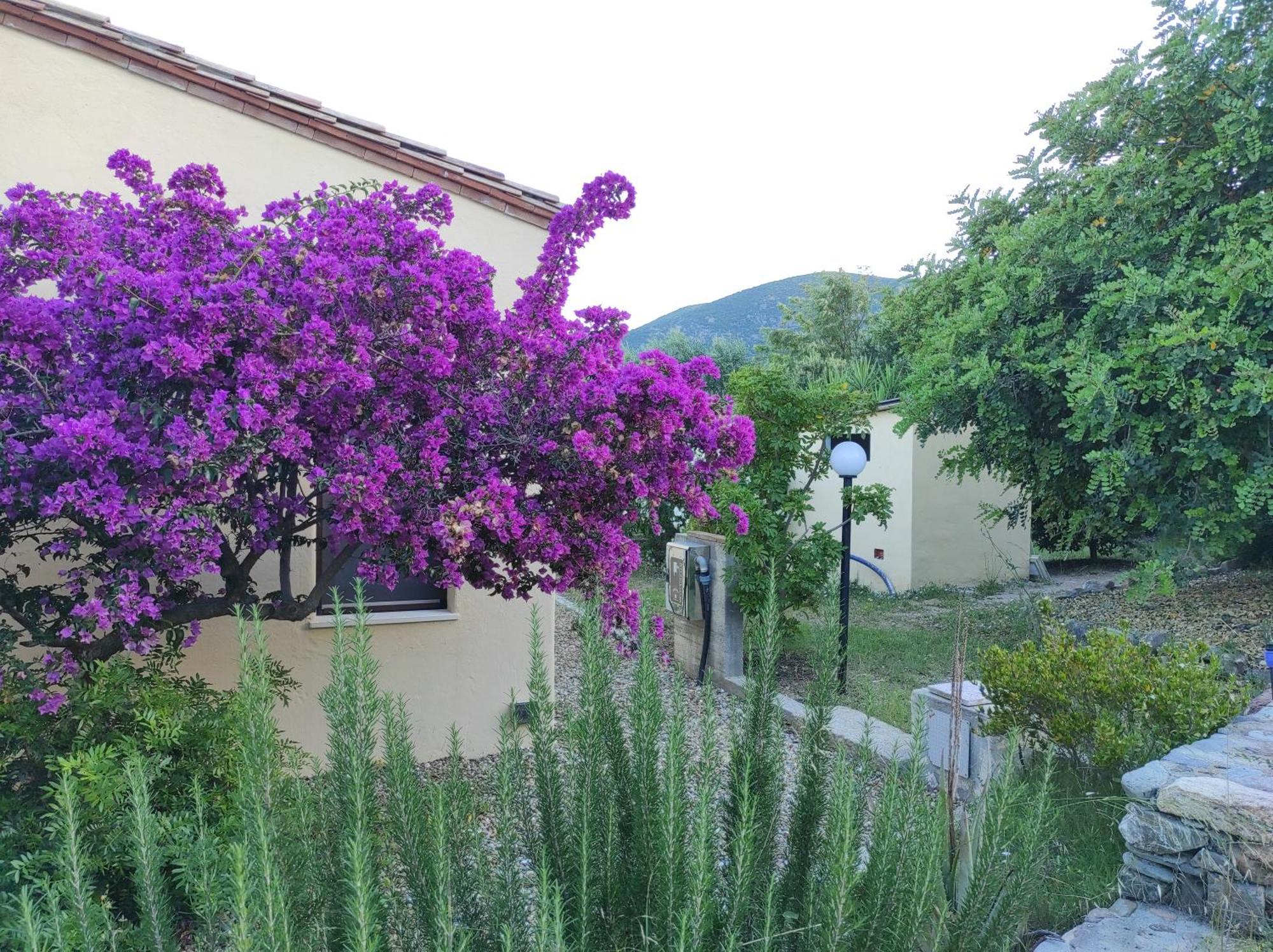 Sa Teria Village Tertenìa Exterior foto