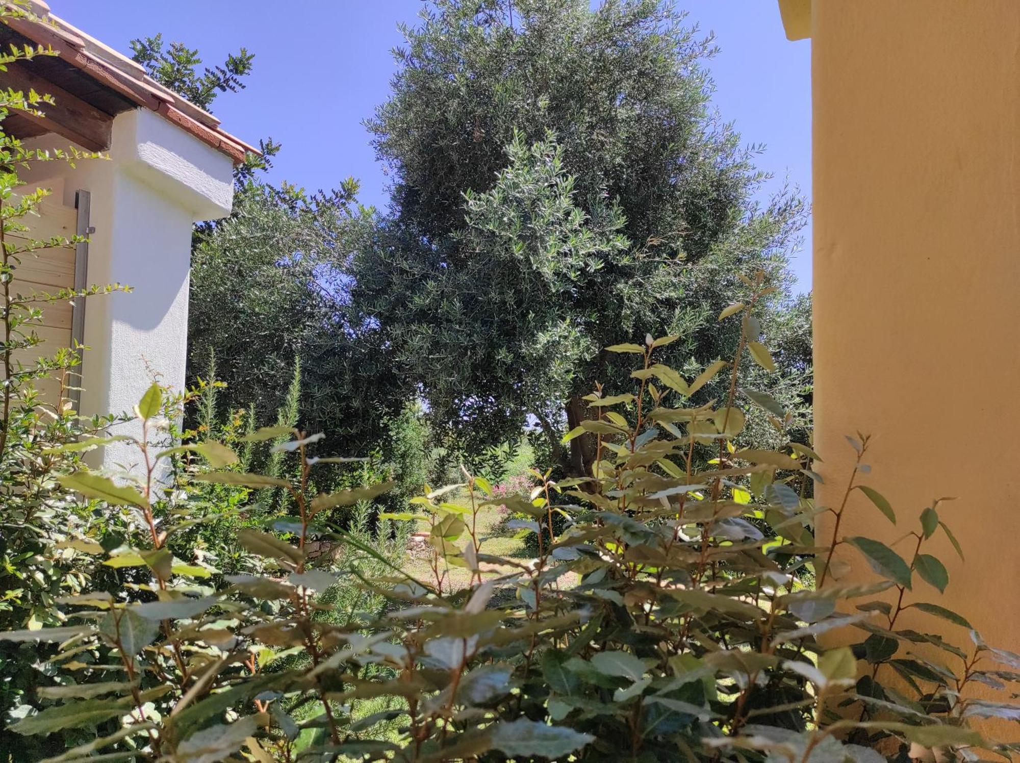 Sa Teria Village Tertenìa Exterior foto