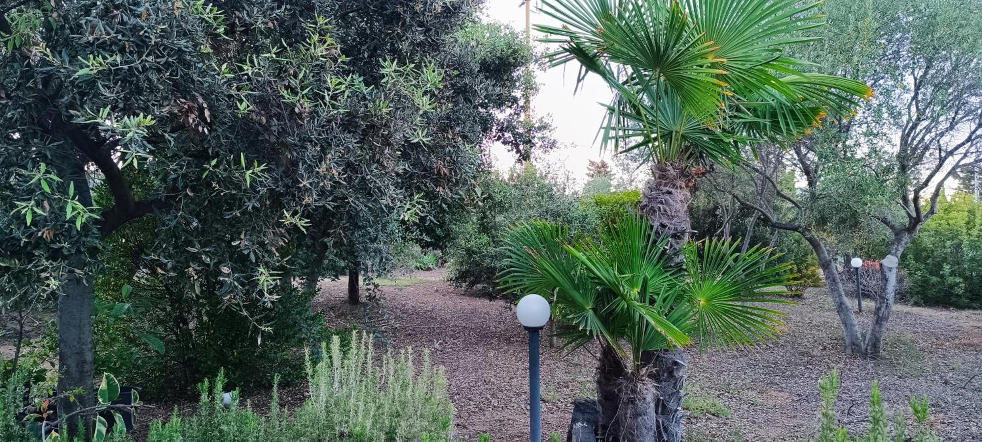 Sa Teria Village Tertenìa Exterior foto