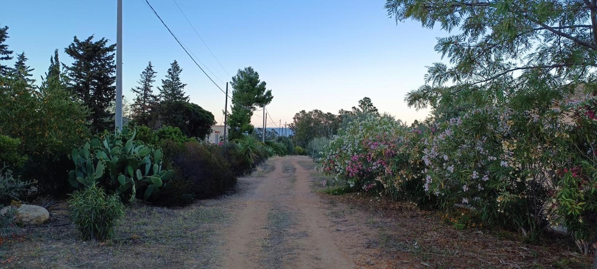 Sa Teria Village Tertenìa Exterior foto