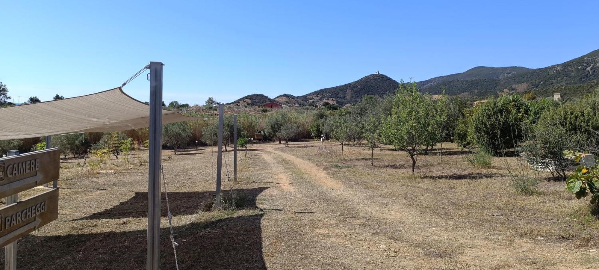 Sa Teria Village Tertenìa Exterior foto