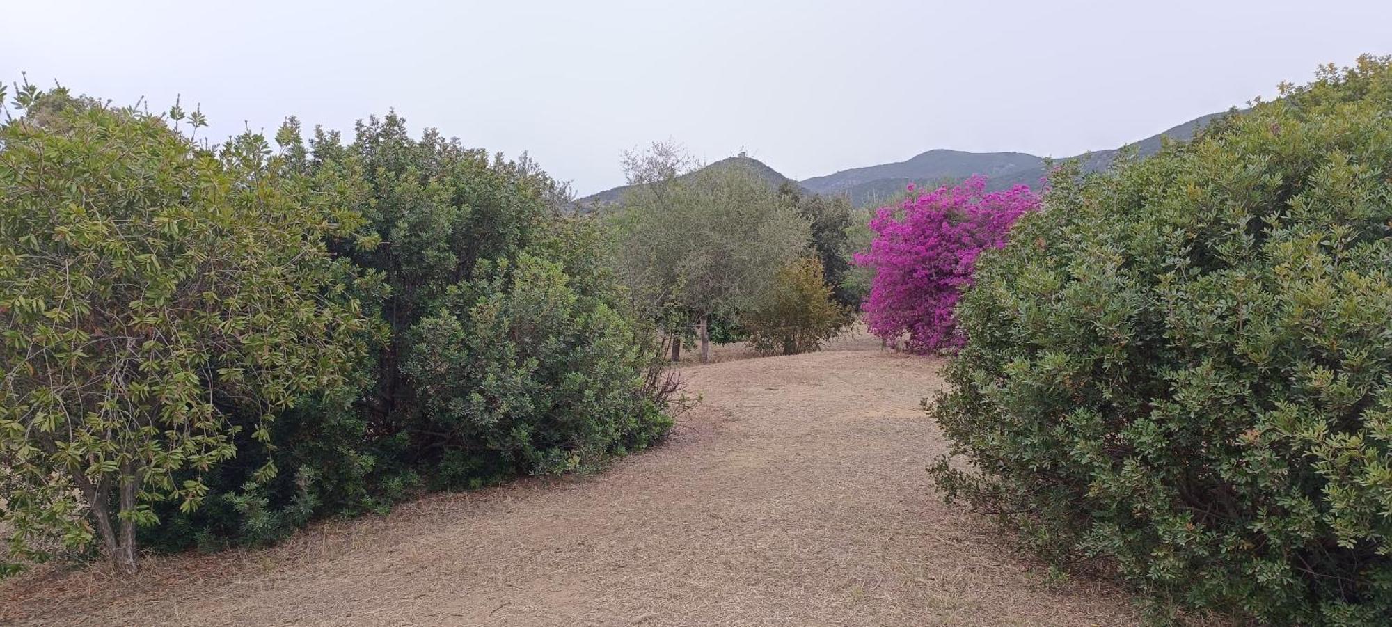 Sa Teria Village Tertenìa Exterior foto